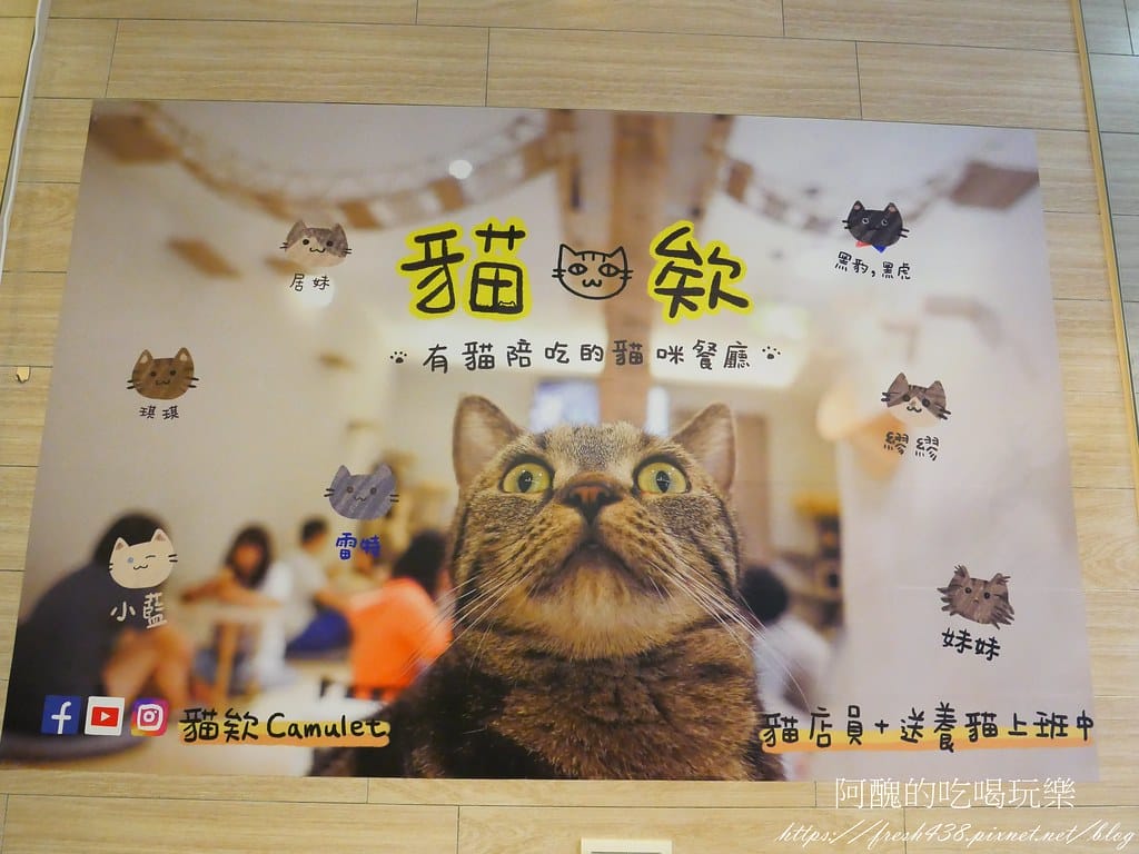 【板橋美食】貓欸Camulet,有貓咪陪吃飯的餐廳,餐點可口、貓咪親人,環境乾淨到不可思議! - 第64張圖 55