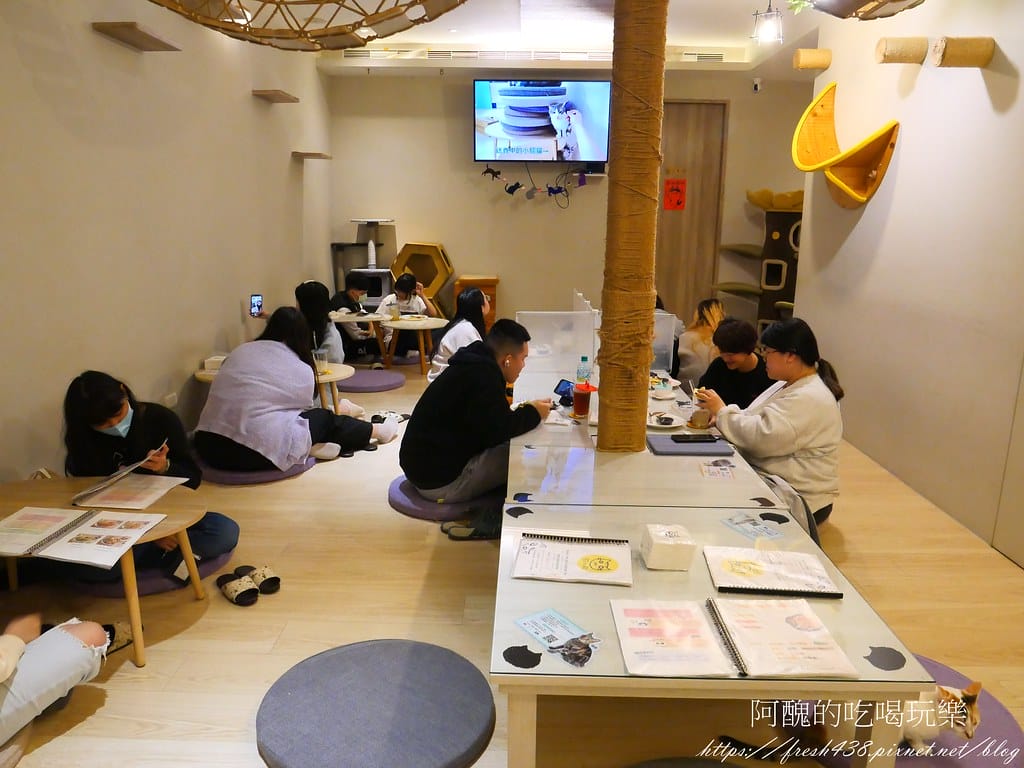 【板橋美食】貓欸Camulet,有貓咪陪吃飯的餐廳,餐點可口、貓咪親人,環境乾淨到不可思議! - 第19張圖 13