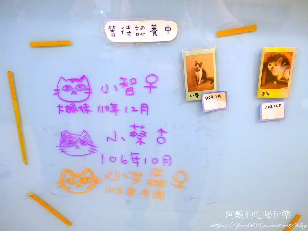 【板橋美食】貓欸Camulet,有貓咪陪吃飯的餐廳,餐點可口、貓咪親人,環境乾淨到不可思議! - 第23張圖 18