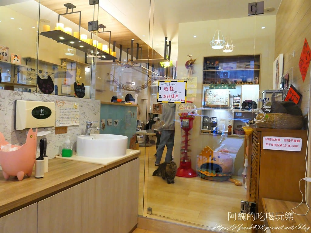 【板橋美食】貓欸Camulet,有貓咪陪吃飯的餐廳,餐點可口、貓咪親人,環境乾淨到不可思議! - 第7張圖 5