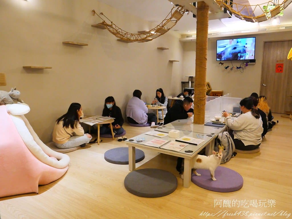【板橋美食】貓欸Camulet,有貓咪陪吃飯的餐廳,餐點可口、貓咪親人,環境乾淨到不可思議! - 第18張圖 12
