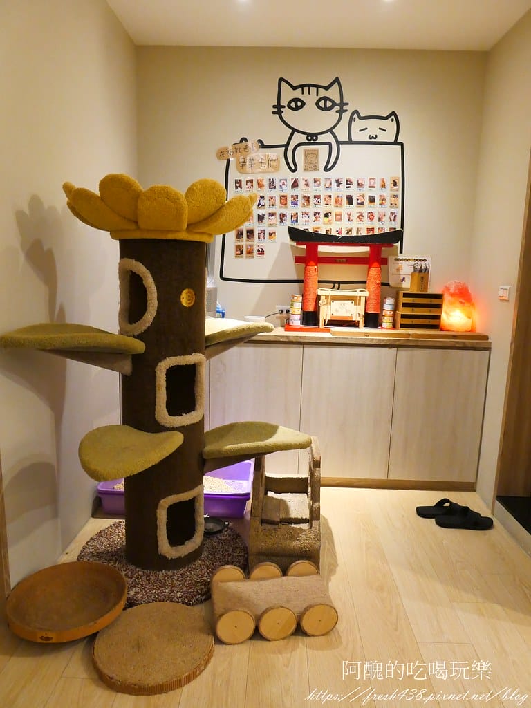 【板橋美食】貓欸Camulet,有貓咪陪吃飯的餐廳,餐點可口、貓咪親人,環境乾淨到不可思議! - 第21張圖 14