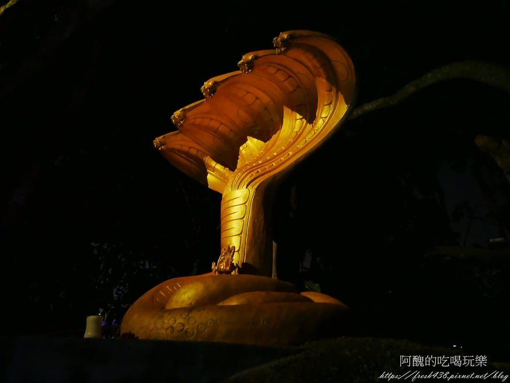 P1650031