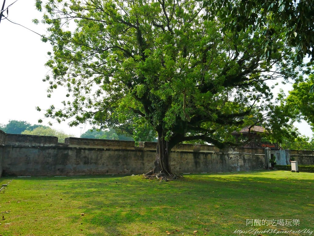 P1640799
