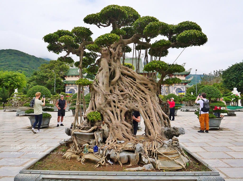 【越南景點】發現越南奇蹟:山茶半島與靈應寺之旅,東南亞最高的觀音像。 - 第12張圖 7