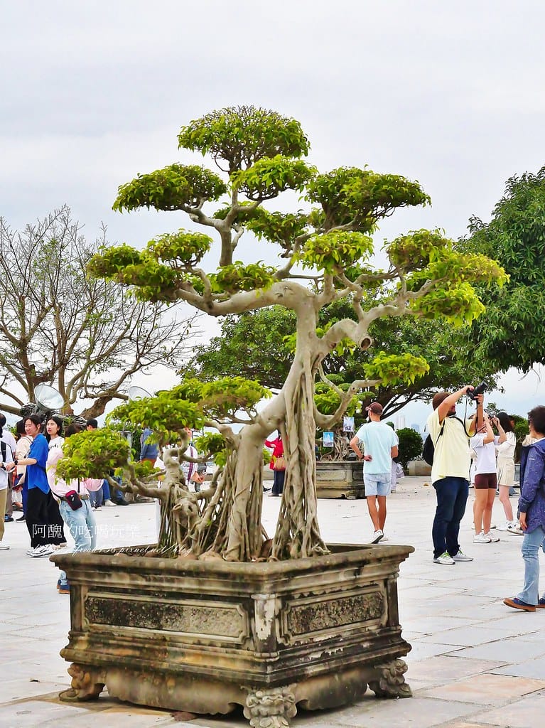 【越南景點】發現越南奇蹟:山茶半島與靈應寺之旅,東南亞最高的觀音像。 - 第27張圖 17-2