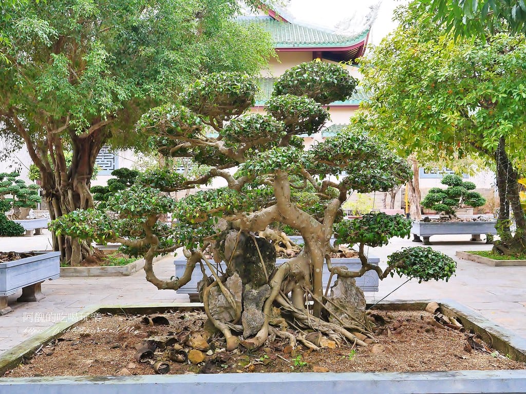 【越南景點】發現越南奇蹟:山茶半島與靈應寺之旅,東南亞最高的觀音像。 - 第26張圖 17