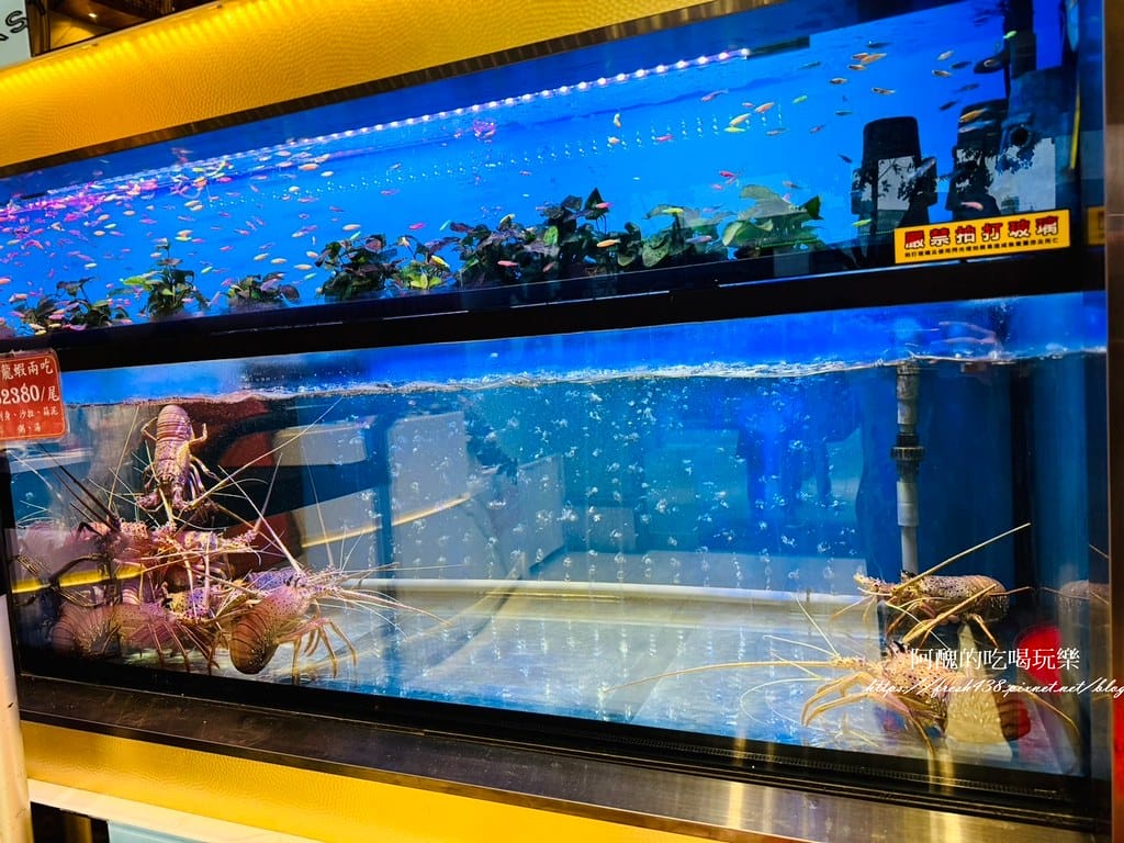 LINE_ALBUM_海宴_250202_36