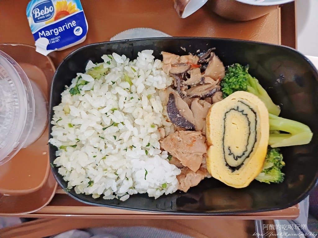 【飛航體驗】星宇航空JX721，台灣桃園(TPE)-馬來西亞