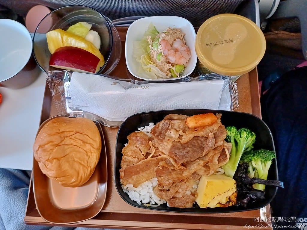 【飛航體驗】星宇航空JX721，台灣桃園(TPE)-馬來西亞