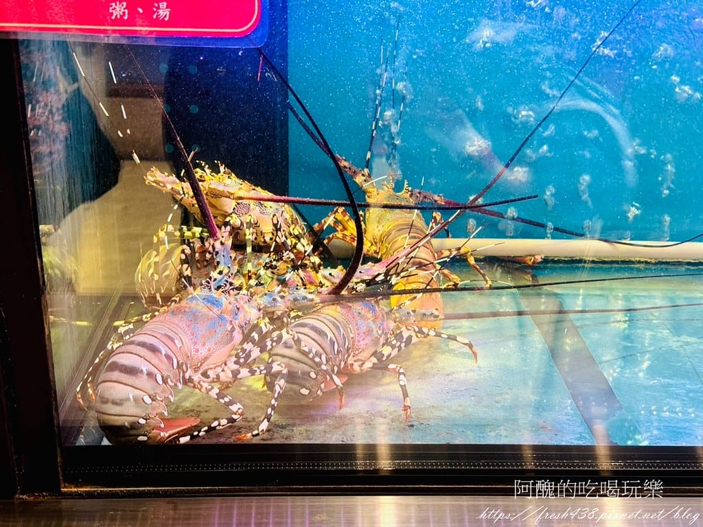 LINE_ALBUM_海宴2025315_250408_40
