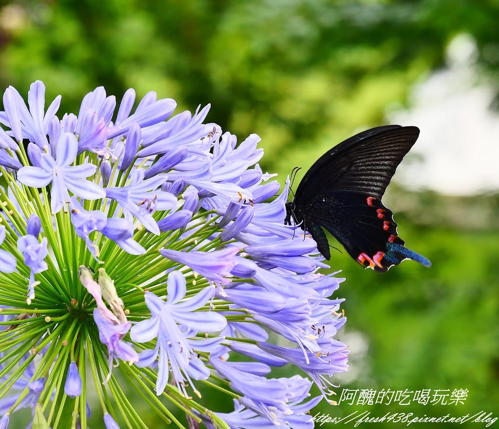 免搭帳+無敵景觀!新竹「愛上喜翁」懶人露營,一泊三食超享受! 免搭帳+無敵景觀!新竹「愛上喜翁」懶人露營,一泊三食超享受!