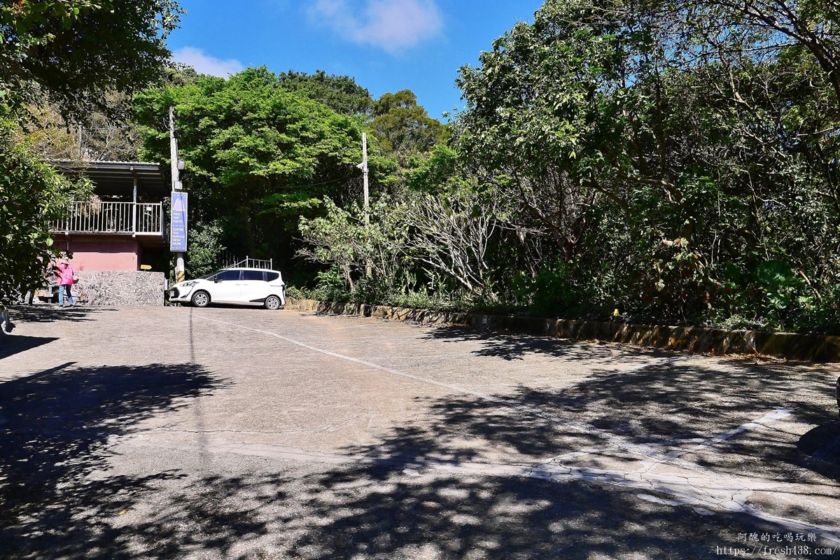 【新北樹林咖啡廳推薦】TREE TOP KAFFA 樹頂上｜隱藏巷弄的森林系咖啡廳，假日必訪！