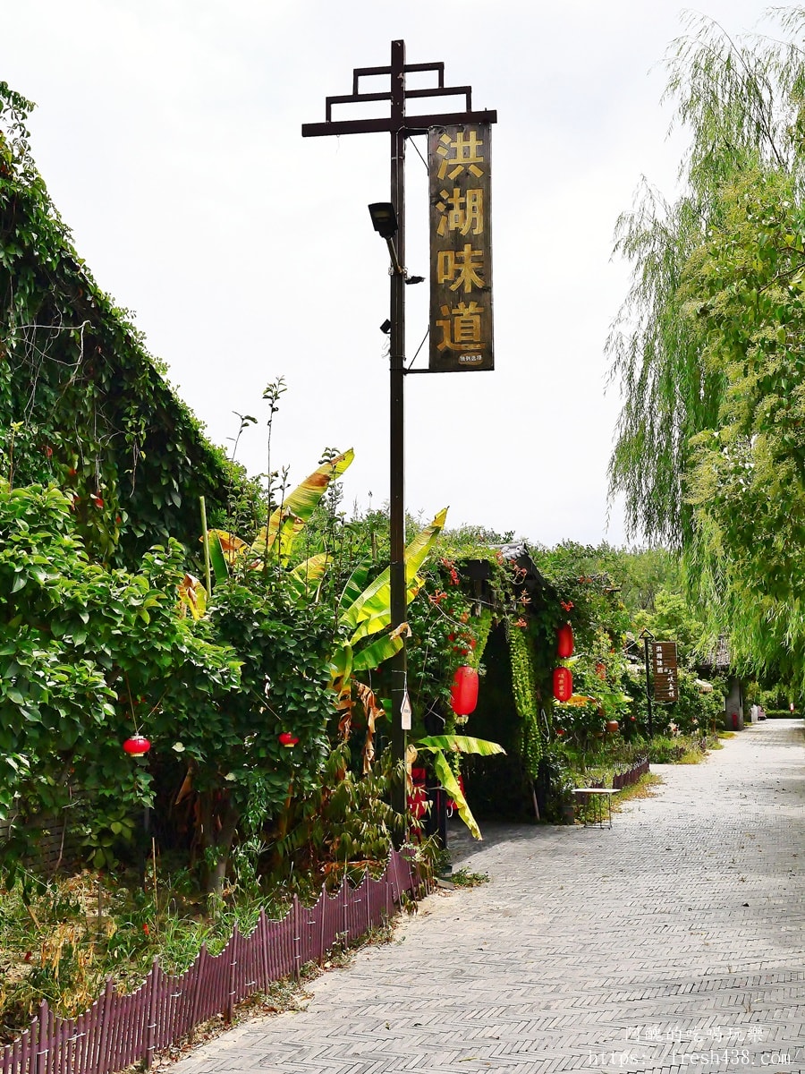 【湖北仙桃】夢裡水鄉一日遊攻略:洪湖味道美食+湖景遊船+森林漫遊全分享 - 第13張圖 【湖北仙桃】夢裡水鄉一日遊攻略:洪湖味道美食+湖景遊船+森林漫遊全分享