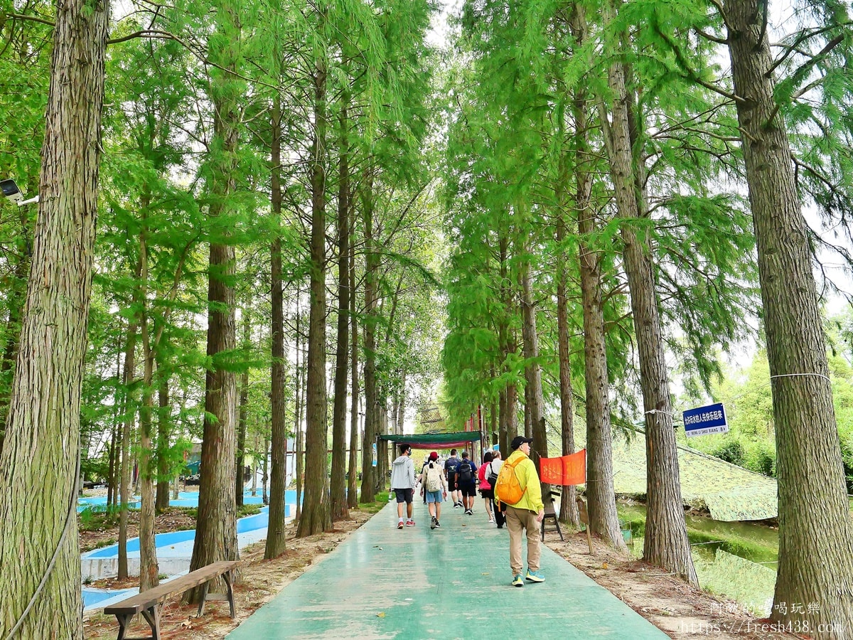 【湖北仙桃】夢裡水鄉一日遊攻略:洪湖味道美食+湖景遊船+森林漫遊全分享 - 第4張圖 【湖北仙桃】夢裡水鄉一日遊攻略:洪湖味道美食+湖景遊船+森林漫遊全分享