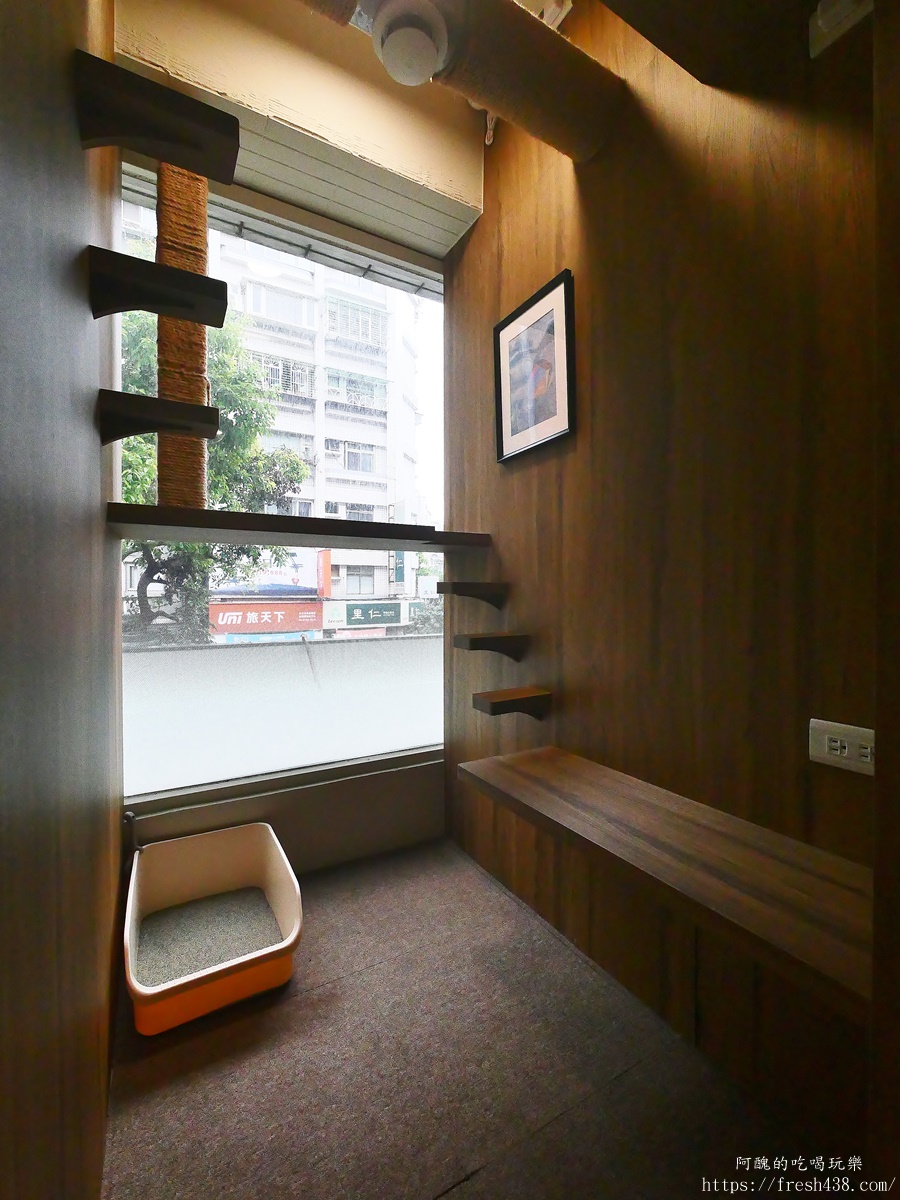 台北信義區貓旅館推薦｜【愛貓成癮貓旅館】五星級貓咪住宿開箱，24小時監控＋獨立空調的頂級度假體驗