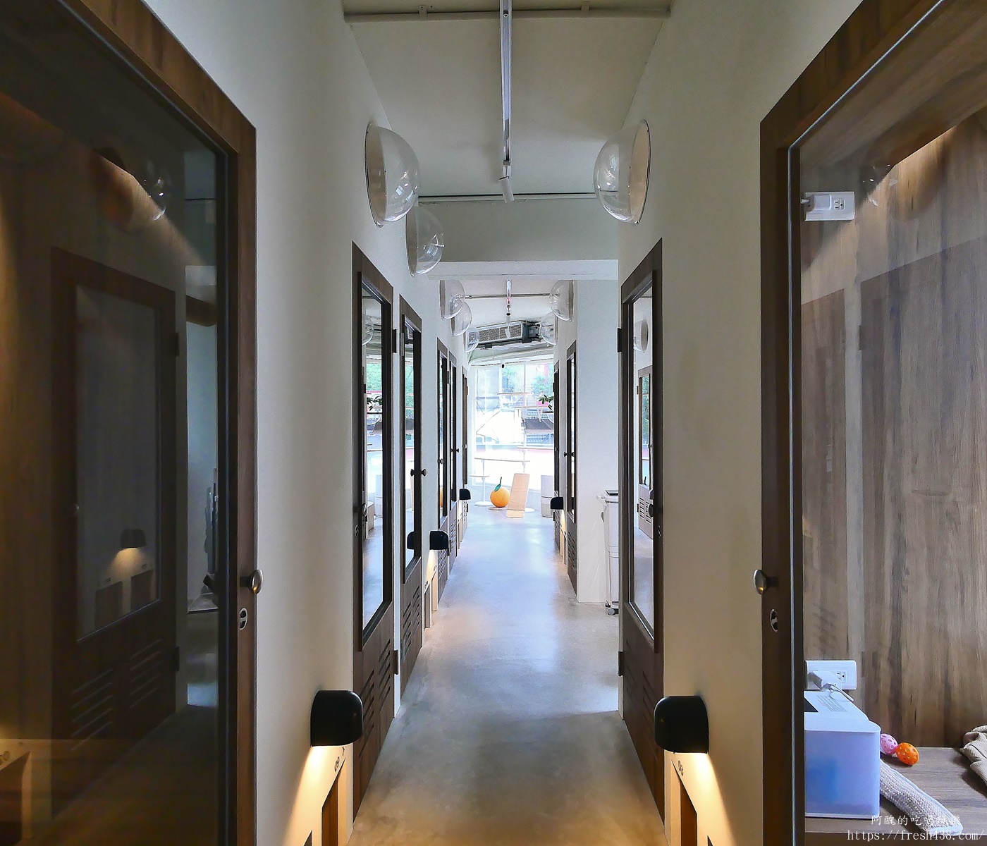 台北信義區貓旅館推薦｜【愛貓成癮貓旅館】五星級貓咪住宿開箱，24小時監控＋獨立空調的頂級度假體驗