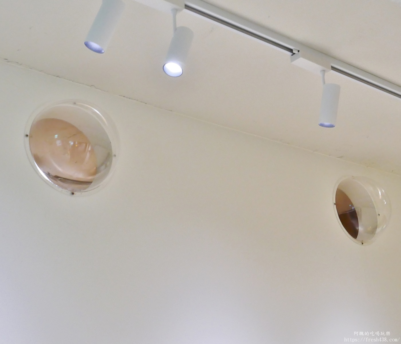 台北信義區貓旅館推薦｜【愛貓成癮貓旅館】五星級貓咪住宿開箱，24小時監控＋獨立空調的頂級度假體驗