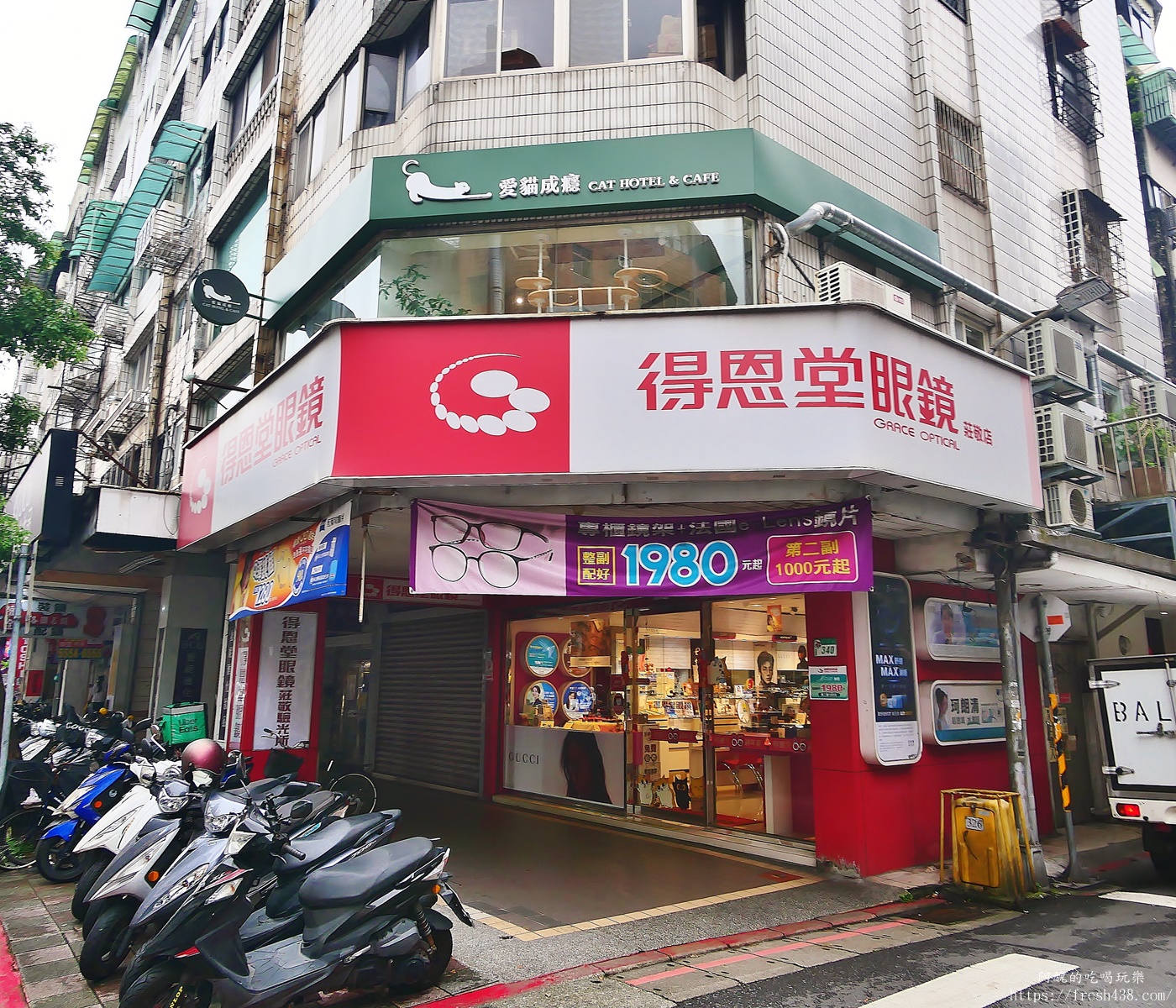 台北信義區貓旅館推薦｜【愛貓成癮貓旅館】五星級貓咪住宿開箱，24小時監控＋獨立空調的頂級度假體驗