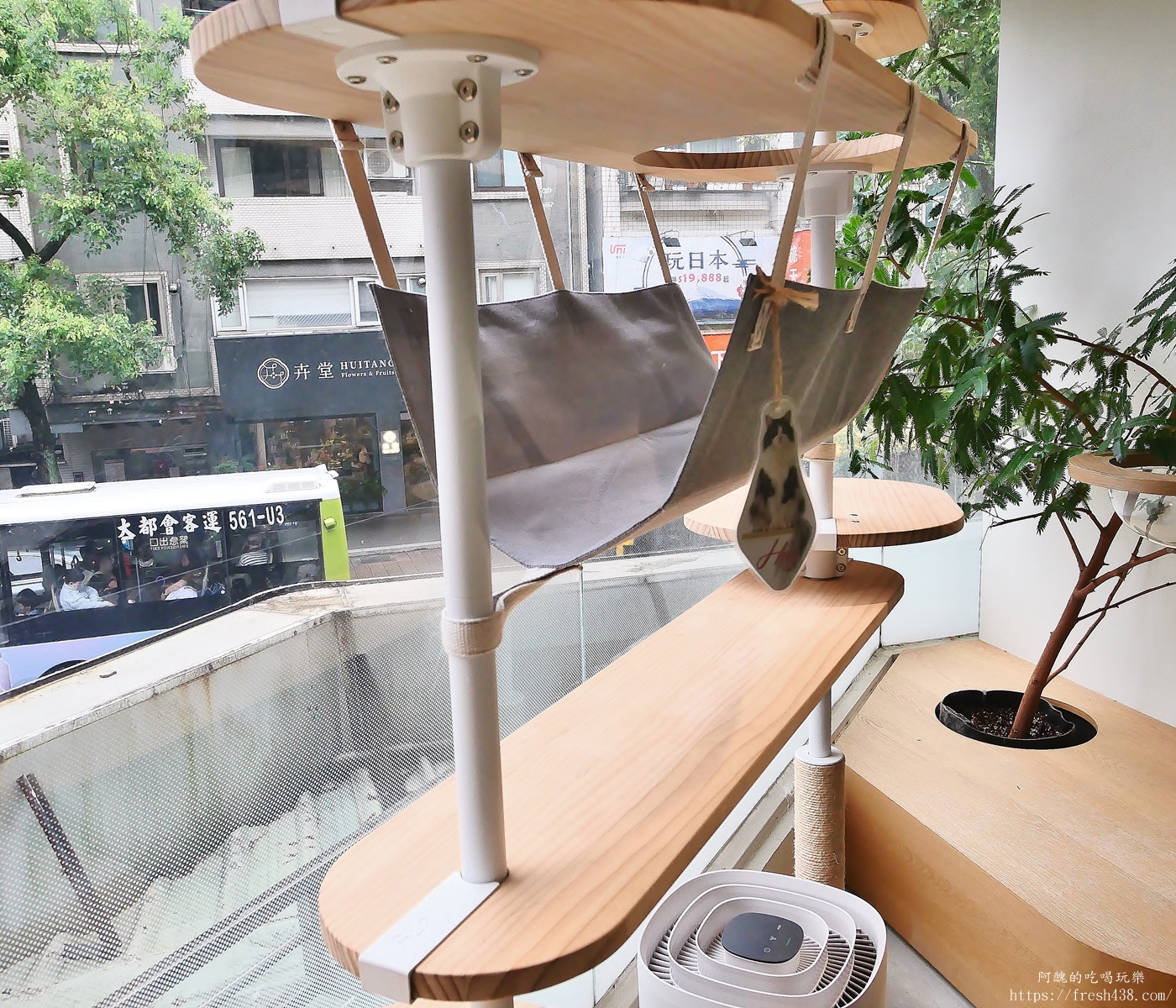 台北信義區貓旅館推薦｜【愛貓成癮貓旅館】五星級貓咪住宿開箱，24小時監控＋獨立空調的頂級度假體驗