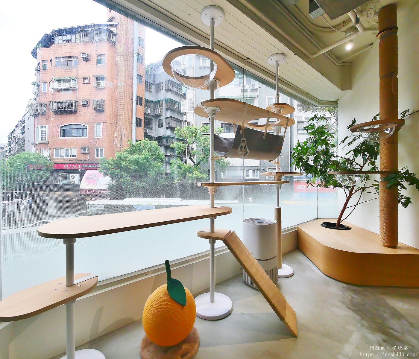 台北信義區貓旅館推薦｜【愛貓成癮貓旅館】五星級貓咪住宿開箱，24小時監控＋獨立空調的頂級度假體驗