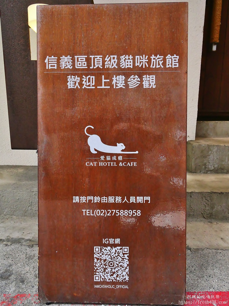 台北信義區貓旅館推薦｜【愛貓成癮貓旅館】五星級貓咪住宿開箱，24小時監控＋獨立空調的頂級度假體驗