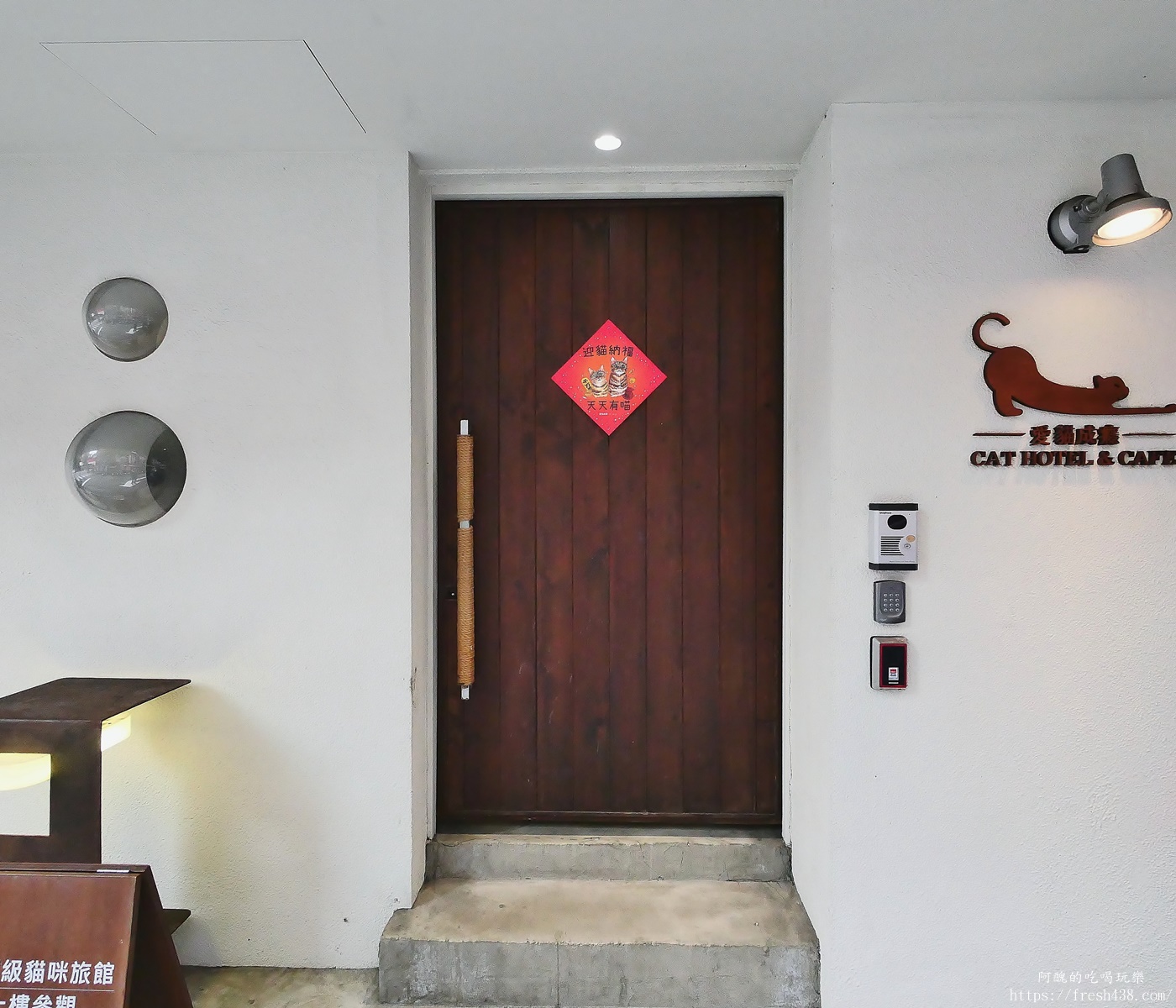 台北信義區貓旅館推薦｜【愛貓成癮貓旅館】五星級貓咪住宿開箱，24小時監控＋獨立空調的頂級度假體驗