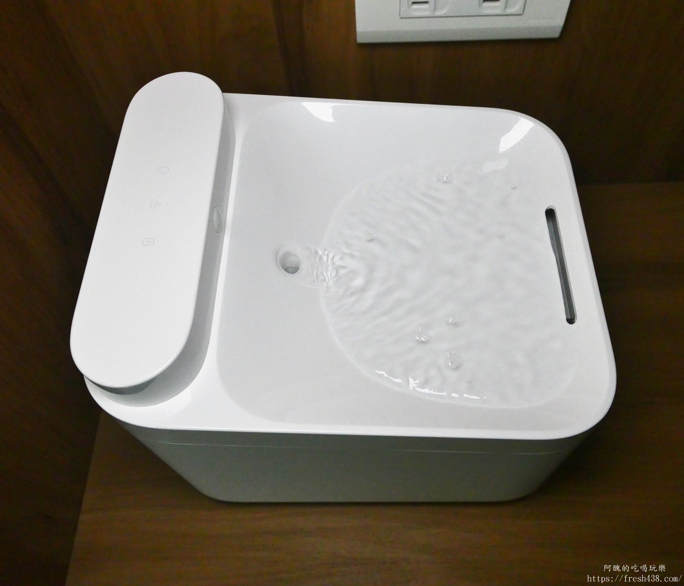 台北信義區貓旅館推薦｜【愛貓成癮貓旅館】五星級貓咪住宿開箱，24小時監控＋獨立空調的頂級度假體驗