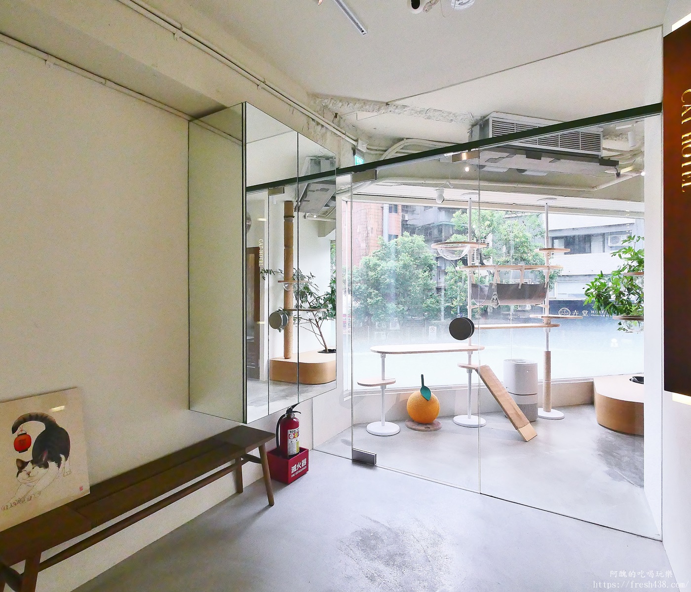 台北信義區貓旅館推薦｜【愛貓成癮貓旅館】五星級貓咪住宿開箱，24小時監控＋獨立空調的頂級度假體驗