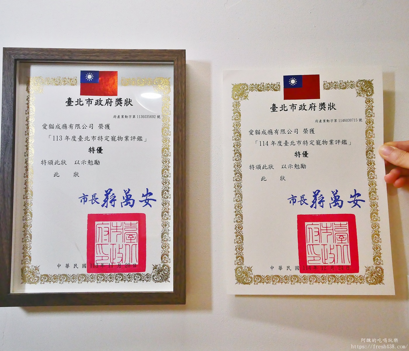 台北信義區貓旅館推薦｜【愛貓成癮貓旅館】五星級貓咪住宿開箱，24小時監控＋獨立空調的頂級度假體驗