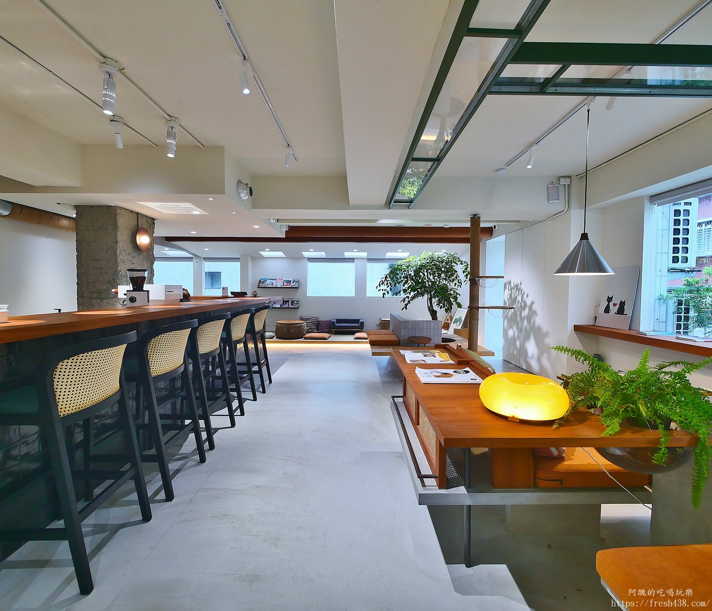 台北信義區貓旅館推薦｜【愛貓成癮貓旅館】五星級貓咪住宿開箱，24小時監控＋獨立空調的頂級度假體驗