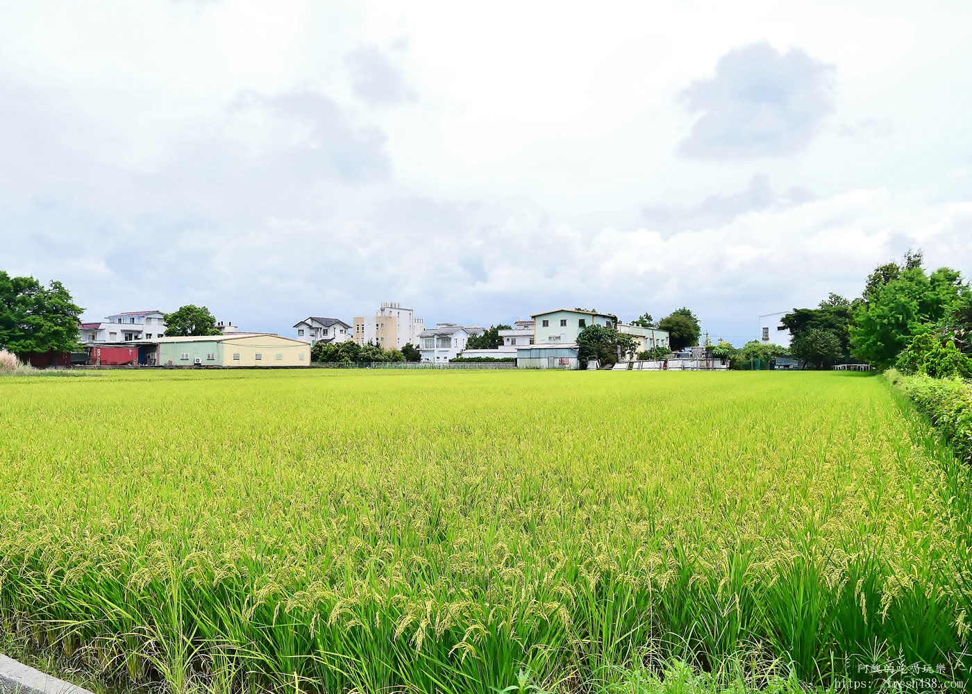 宜蘭親子民宿推薦｜松之墅溜滑梯親子民宿開箱，球池、戲水池、沙坑、電動遊戲、免費下午茶一次滿足