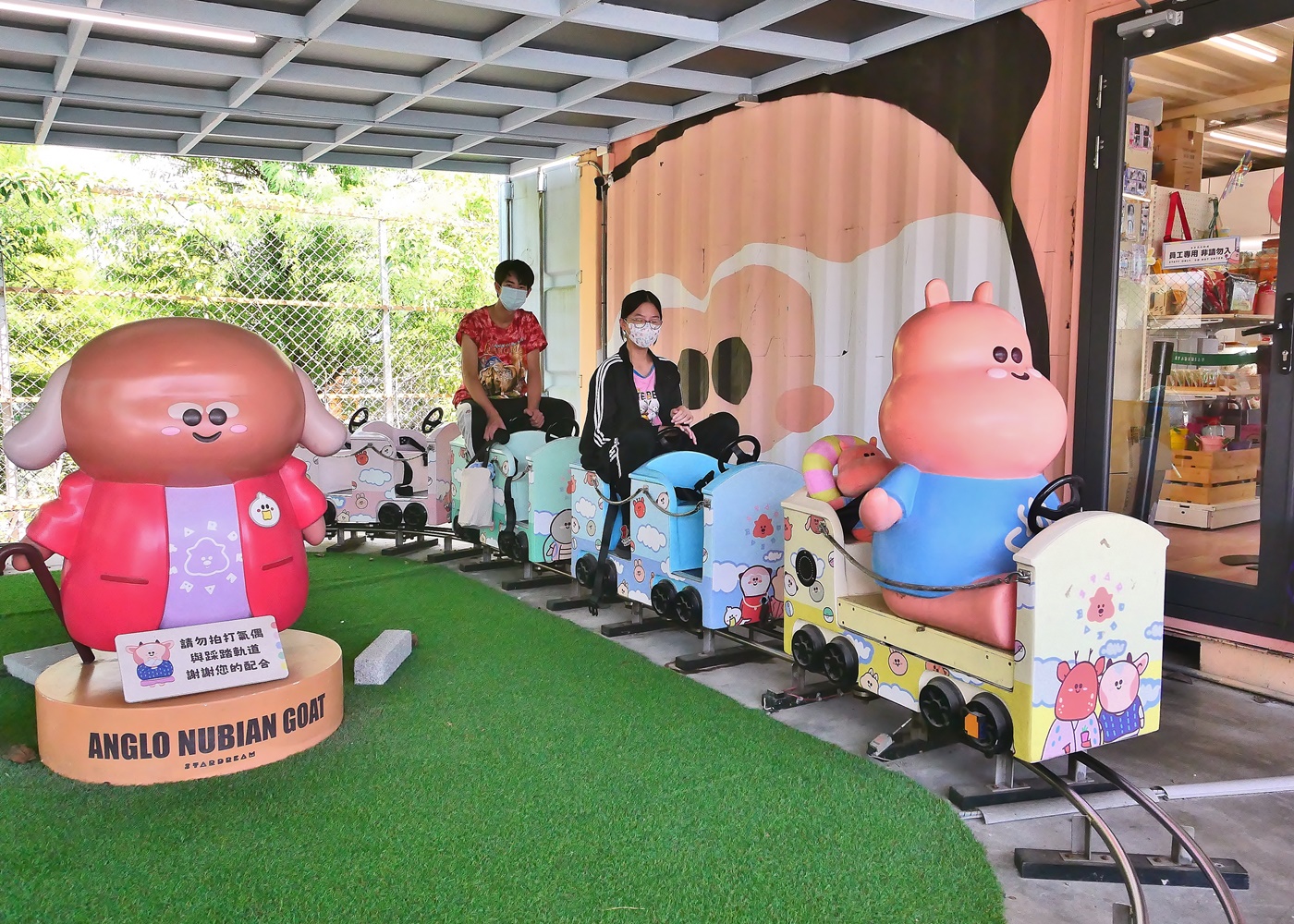 【宜蘭親子景點】星夢森林劇場全攻略｜水豚握手、羊駝梅花鹿餵食、DIY、戲水池一日遊必玩
