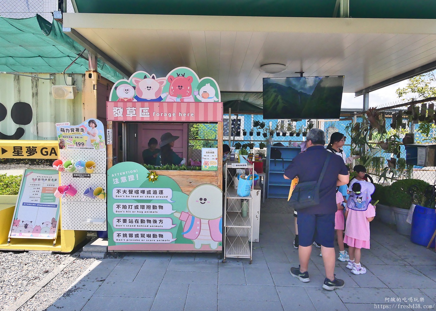 【宜蘭親子景點】星夢森林劇場全攻略｜水豚握手、羊駝梅花鹿餵食、DIY、戲水池一日遊必玩