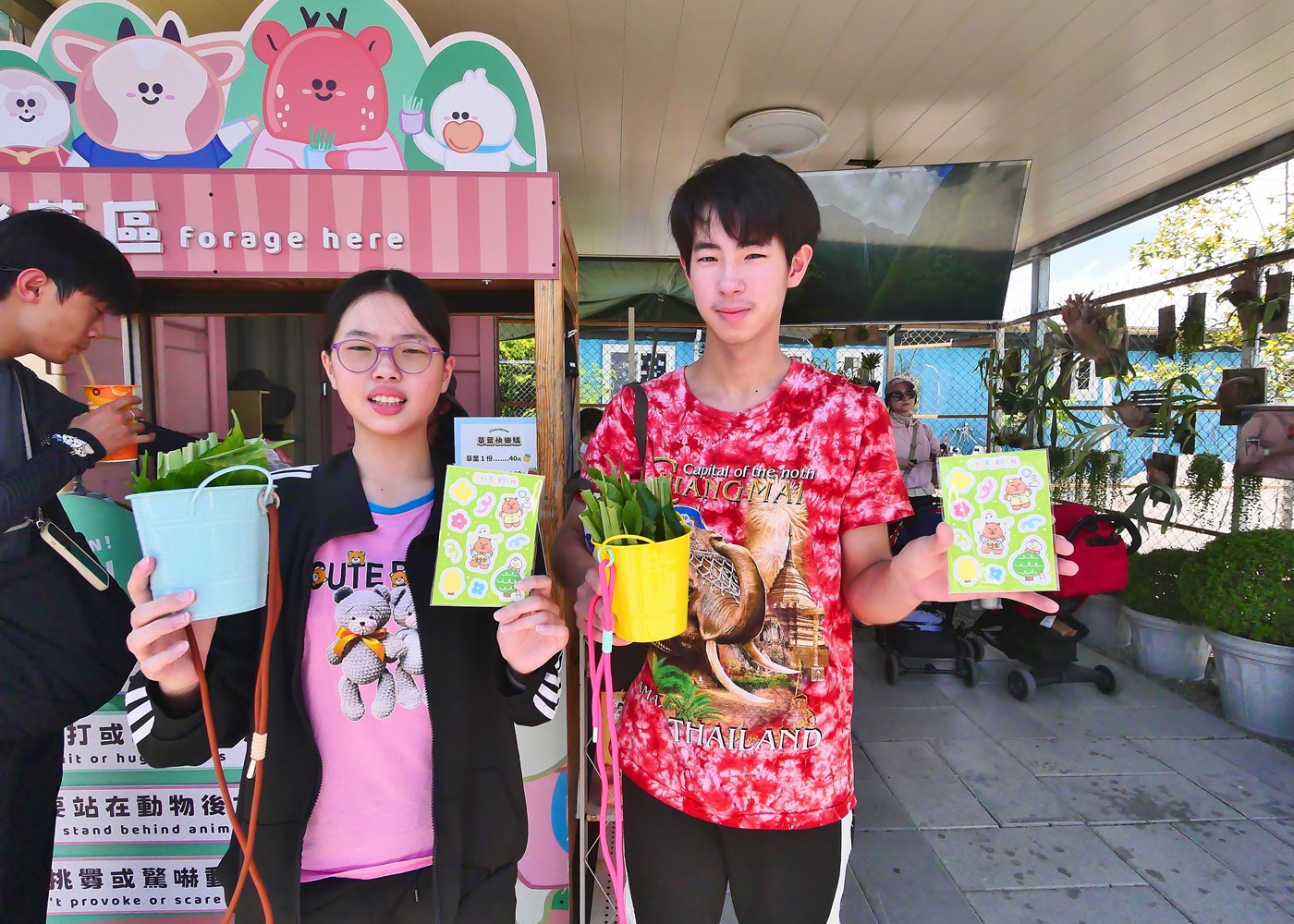 【宜蘭親子景點】星夢森林劇場全攻略｜水豚握手、羊駝梅花鹿餵食、DIY、戲水池一日遊必玩