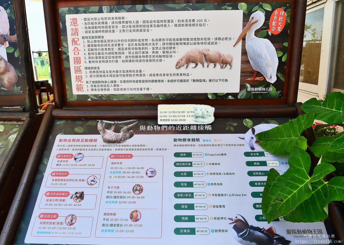 宜蘭親子景點|蘭陽動植物王國攻略!3000坪農場、雨天也能玩、猛禽訓練與動物互動體驗 - 第6張圖 宜蘭親子景點|蘭陽動植物王國攻略!3000坪農場、雨天也能玩、猛禽訓練與動物互動體驗