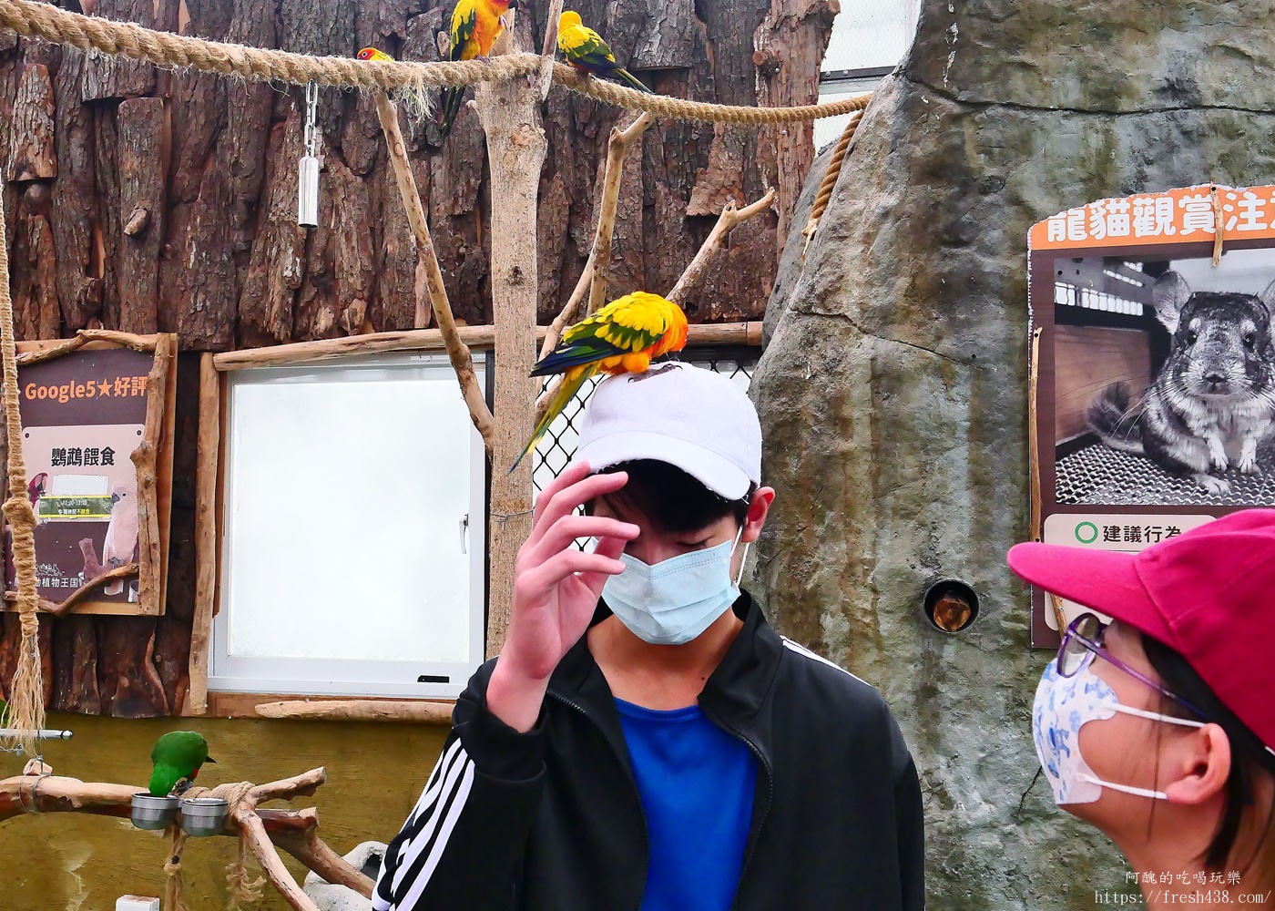 宜蘭親子景點|蘭陽動植物王國攻略!3000坪農場、雨天也能玩、猛禽訓練與動物互動體驗 - 第9張圖 宜蘭親子景點|蘭陽動植物王國攻略!3000坪農場、雨天也能玩、猛禽訓練與動物互動體驗