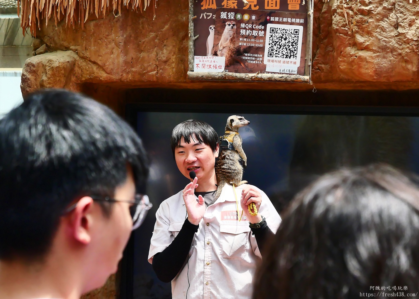 宜蘭親子景點|蘭陽動植物王國攻略!3000坪農場、雨天也能玩、猛禽訓練與動物互動體驗 - 第33張圖 宜蘭親子景點|蘭陽動植物王國攻略!3000坪農場、雨天也能玩、猛禽訓練與動物互動體驗