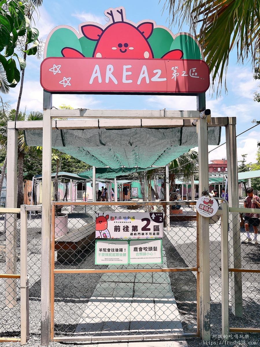 【宜蘭親子景點】星夢森林劇場全攻略｜水豚握手、羊駝梅花鹿餵食、DIY、戲水池一日遊必玩