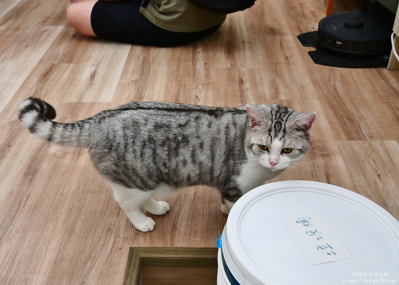 宜蘭親子景點|蘭陽動植物王國攻略!3000坪農場、雨天也能玩、猛禽訓練與動物互動體驗 - 第12張圖 宜蘭親子景點|蘭陽動植物王國攻略!3000坪農場、雨天也能玩、猛禽訓練與動物互動體驗