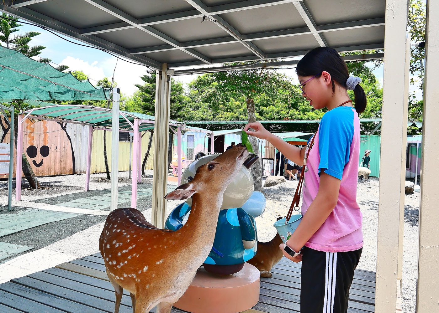 【宜蘭親子景點】星夢森林劇場全攻略｜水豚握手、羊駝梅花鹿餵食、DIY、戲水池一日遊必玩