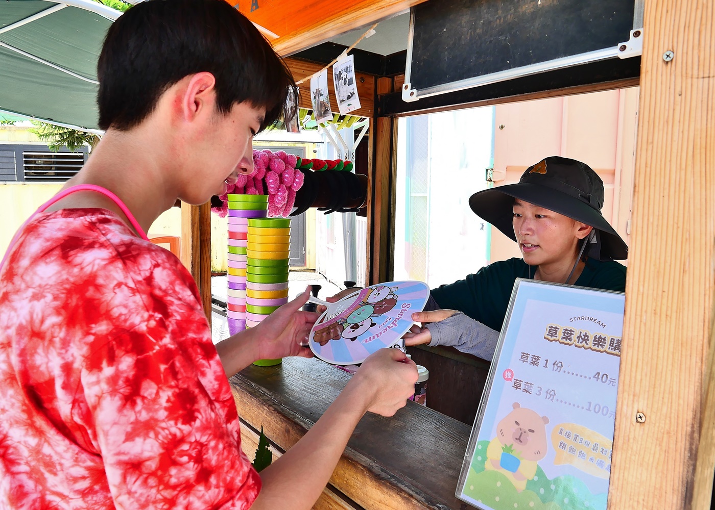 【宜蘭親子景點】星夢森林劇場全攻略｜水豚握手、羊駝梅花鹿餵食、DIY、戲水池一日遊必玩