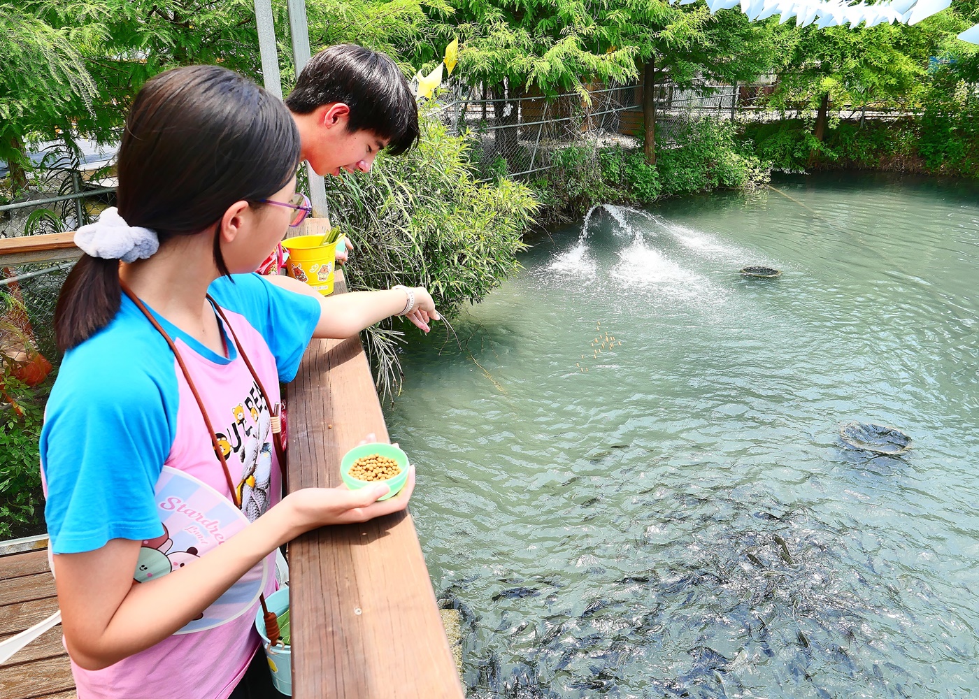 【宜蘭親子景點】星夢森林劇場全攻略｜水豚握手、羊駝梅花鹿餵食、DIY、戲水池一日遊必玩