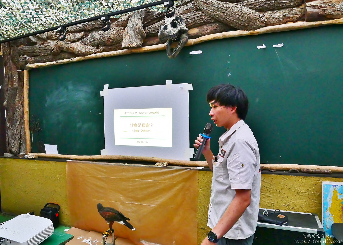 宜蘭親子景點|蘭陽動植物王國攻略!3000坪農場、雨天也能玩、猛禽訓練與動物互動體驗 - 第44張圖 宜蘭親子景點|蘭陽動植物王國攻略!3000坪農場、雨天也能玩、猛禽訓練與動物互動體驗