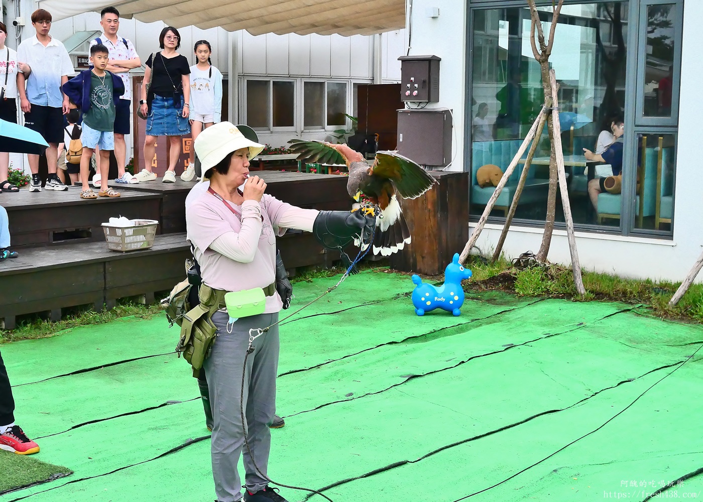 宜蘭親子景點|蘭陽動植物王國攻略!3000坪農場、雨天也能玩、猛禽訓練與動物互動體驗 - 第48張圖 宜蘭親子景點|蘭陽動植物王國攻略!3000坪農場、雨天也能玩、猛禽訓練與動物互動體驗