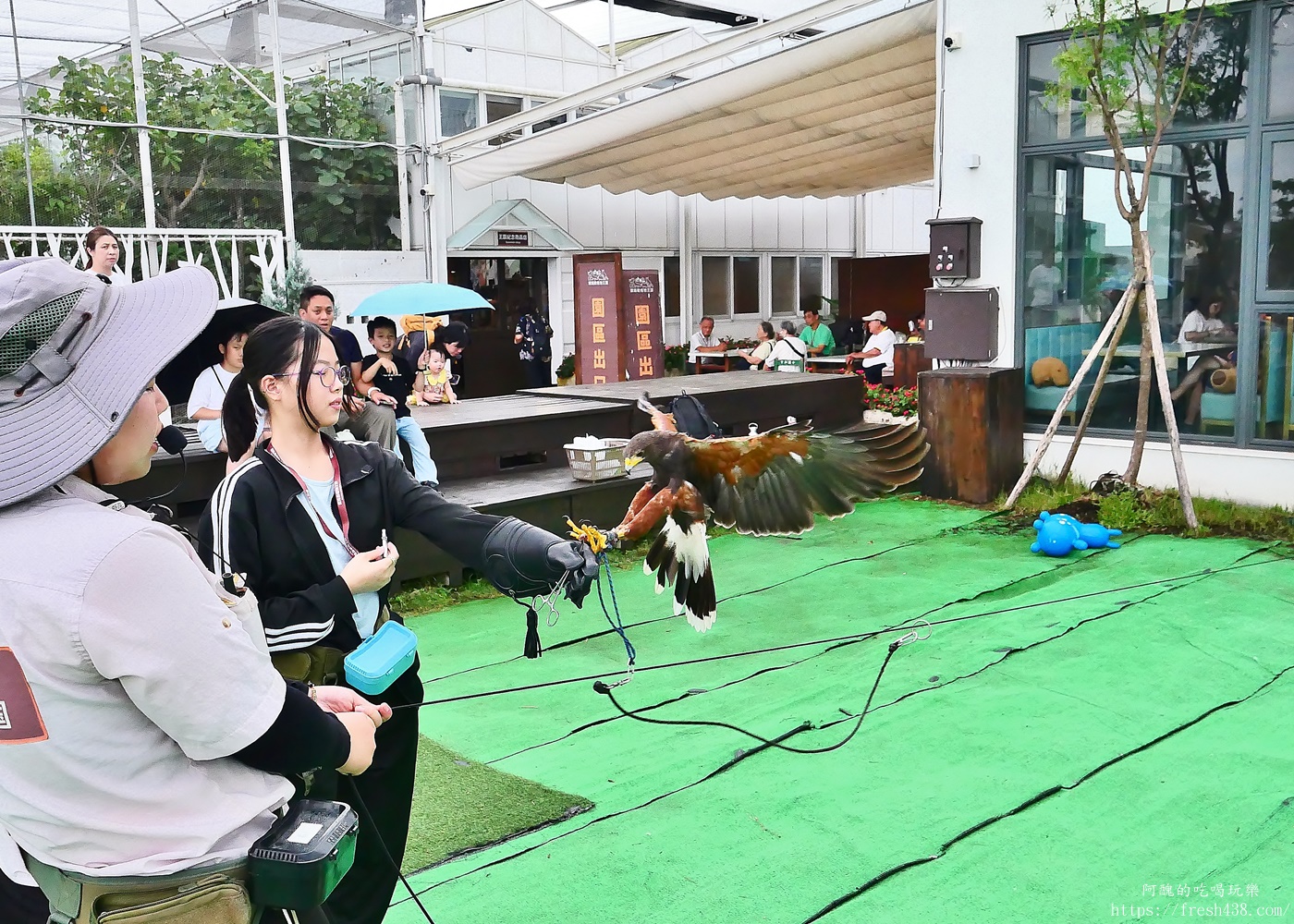 宜蘭親子景點|蘭陽動植物王國攻略!3000坪農場、雨天也能玩、猛禽訓練與動物互動體驗 - 第49張圖 宜蘭親子景點|蘭陽動植物王國攻略!3000坪農場、雨天也能玩、猛禽訓練與動物互動體驗
