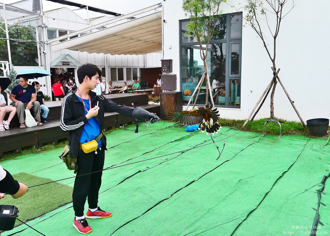 宜蘭親子景點|蘭陽動植物王國攻略!3000坪農場、雨天也能玩、猛禽訓練與動物互動體驗 - 第50張圖 宜蘭親子景點|蘭陽動植物王國攻略!3000坪農場、雨天也能玩、猛禽訓練與動物互動體驗