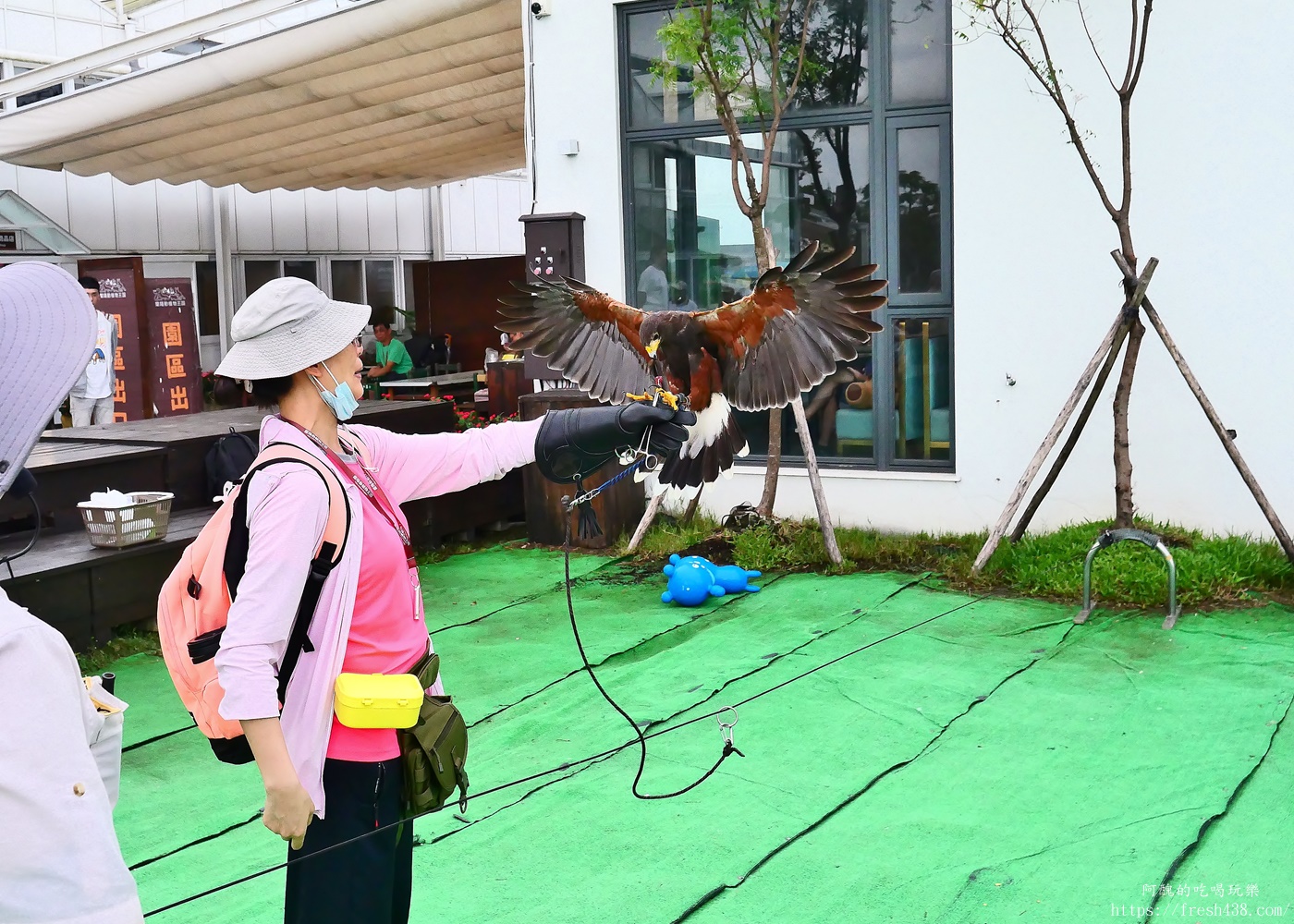 宜蘭親子景點|蘭陽動植物王國攻略!3000坪農場、雨天也能玩、猛禽訓練與動物互動體驗 - 第51張圖 宜蘭親子景點|蘭陽動植物王國攻略!3000坪農場、雨天也能玩、猛禽訓練與動物互動體驗