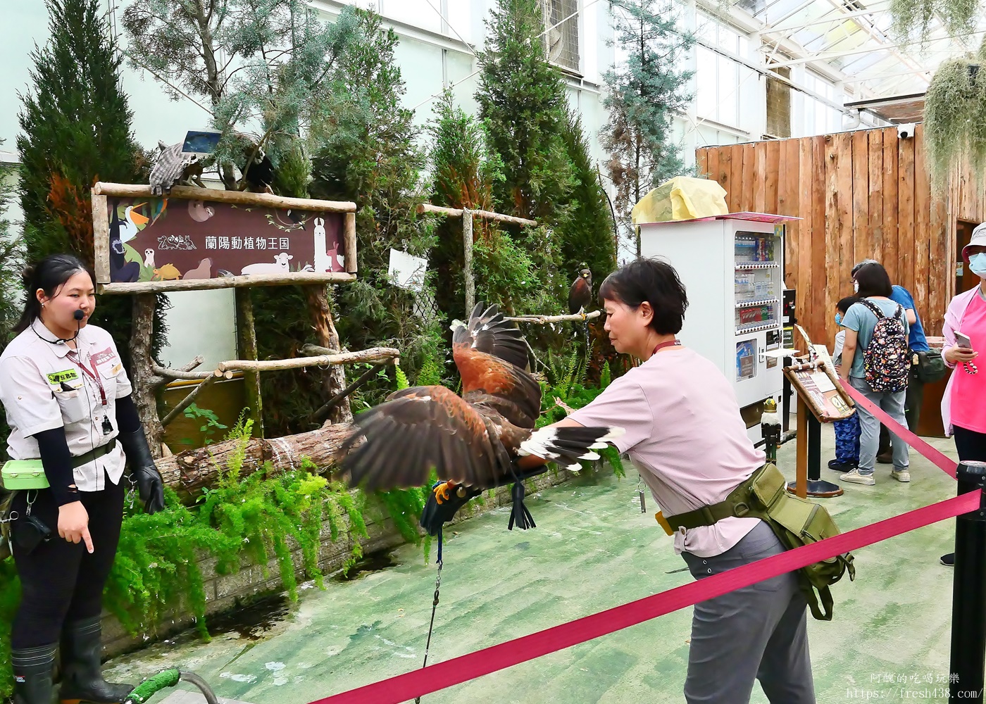 宜蘭親子景點|蘭陽動植物王國攻略!3000坪農場、雨天也能玩、猛禽訓練與動物互動體驗 - 第53張圖 宜蘭親子景點|蘭陽動植物王國攻略!3000坪農場、雨天也能玩、猛禽訓練與動物互動體驗