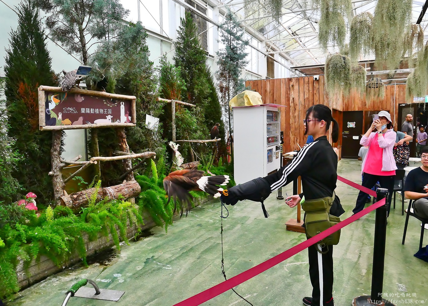 宜蘭親子景點|蘭陽動植物王國攻略!3000坪農場、雨天也能玩、猛禽訓練與動物互動體驗 - 第54張圖 宜蘭親子景點|蘭陽動植物王國攻略!3000坪農場、雨天也能玩、猛禽訓練與動物互動體驗
